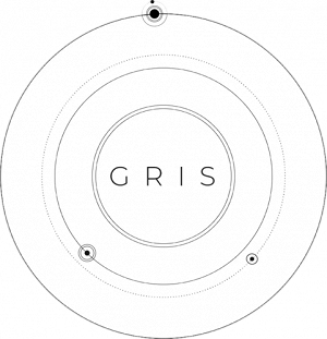 Обзор GRIS